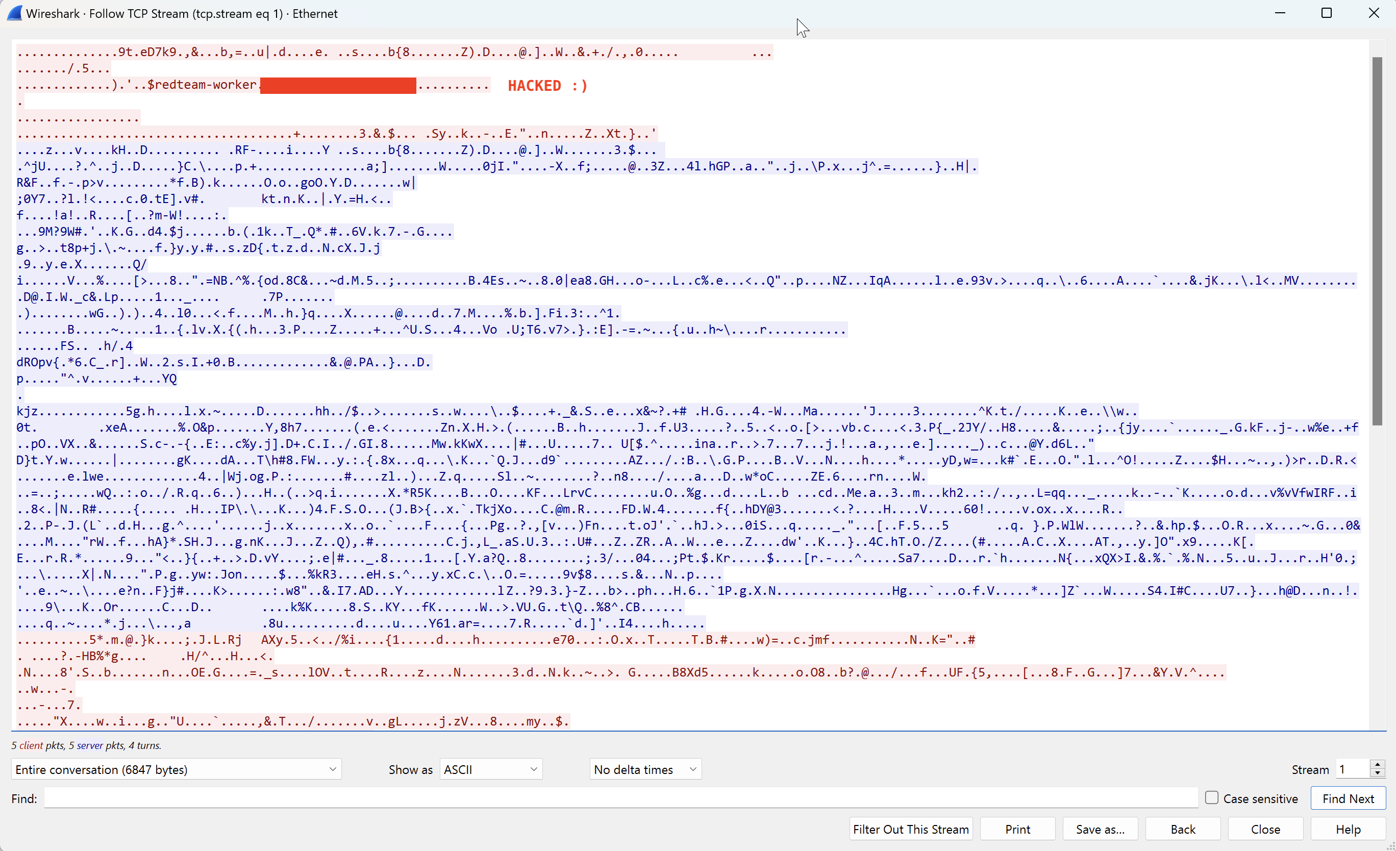 Wireshark